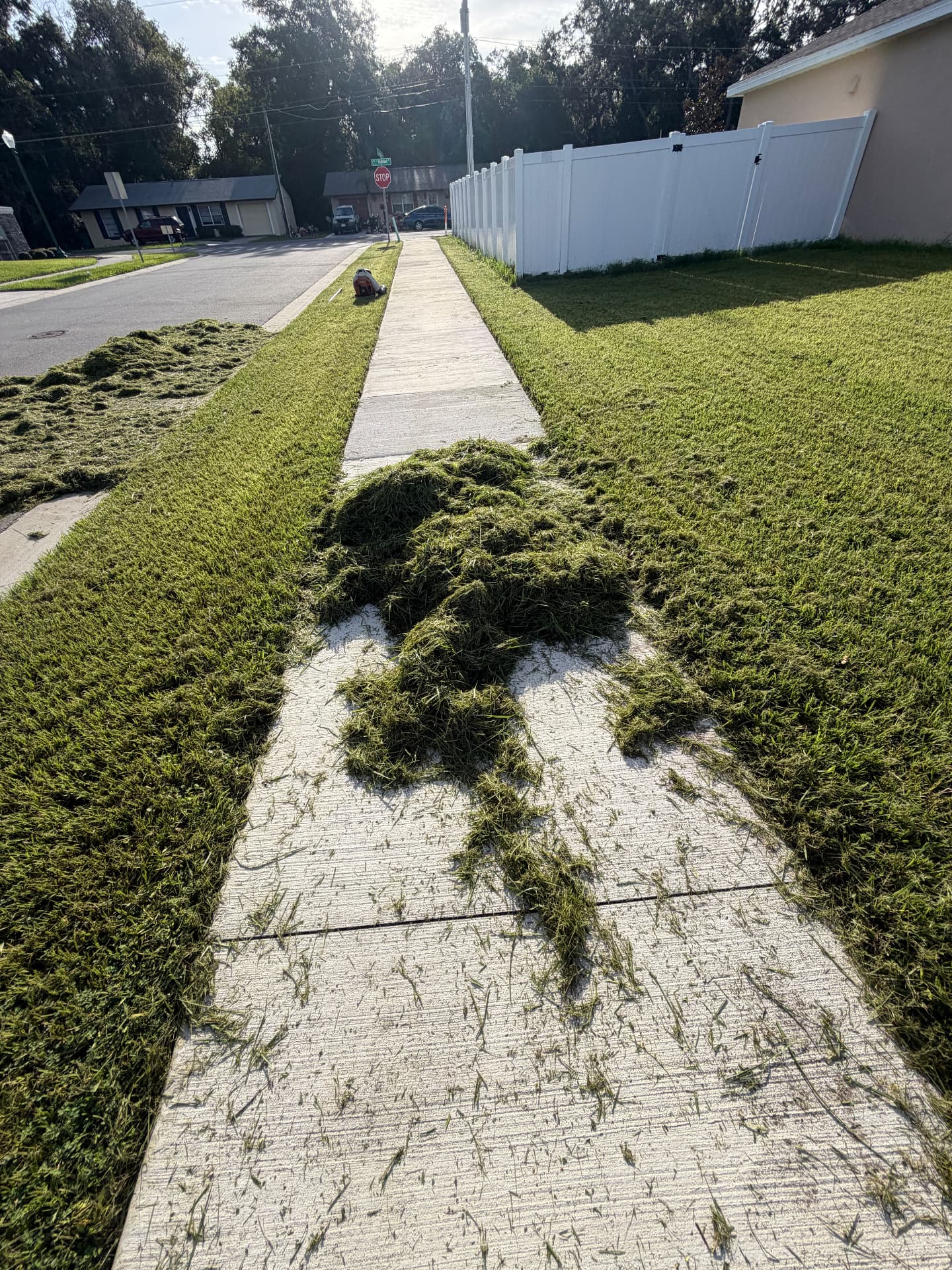 Sidewalk lined with fresh clippings and sharp mow lines during a ProCutz cut