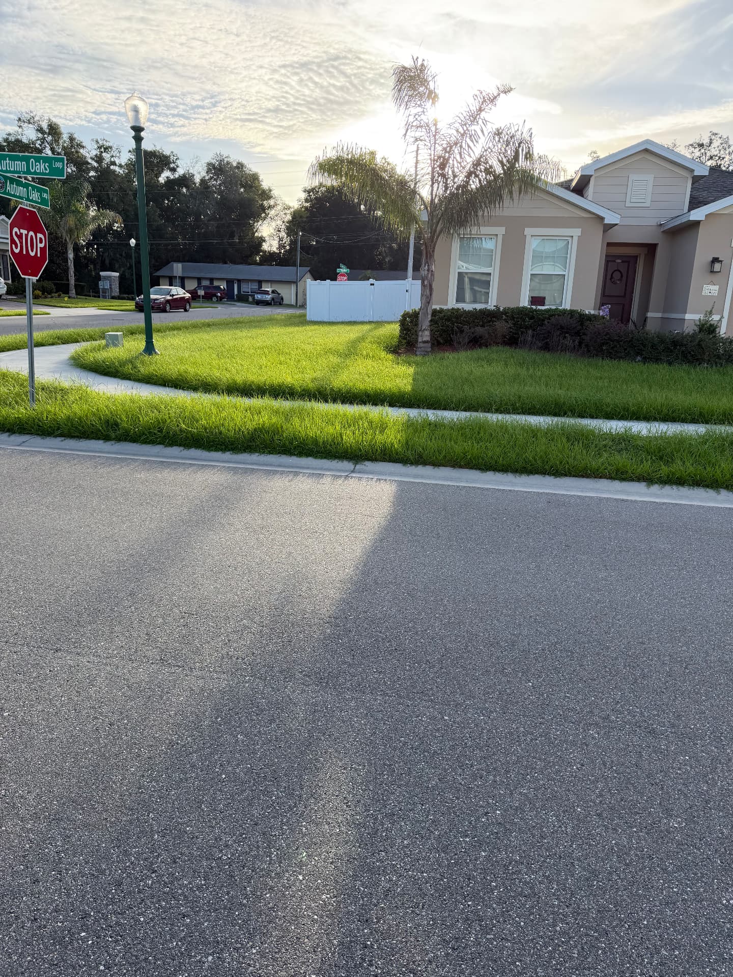 Overgrown, shaggy corner lot lawn before ProCutz mowing service in Lake County, FL