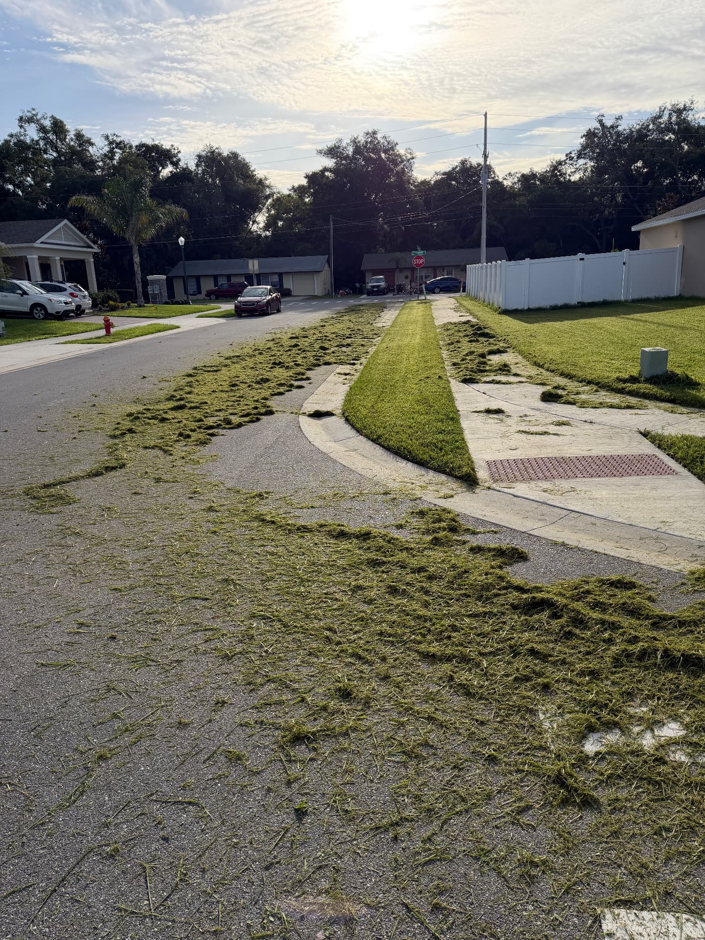 Fresh grass clippings covering the sidewalk and street mid-job before cleanup