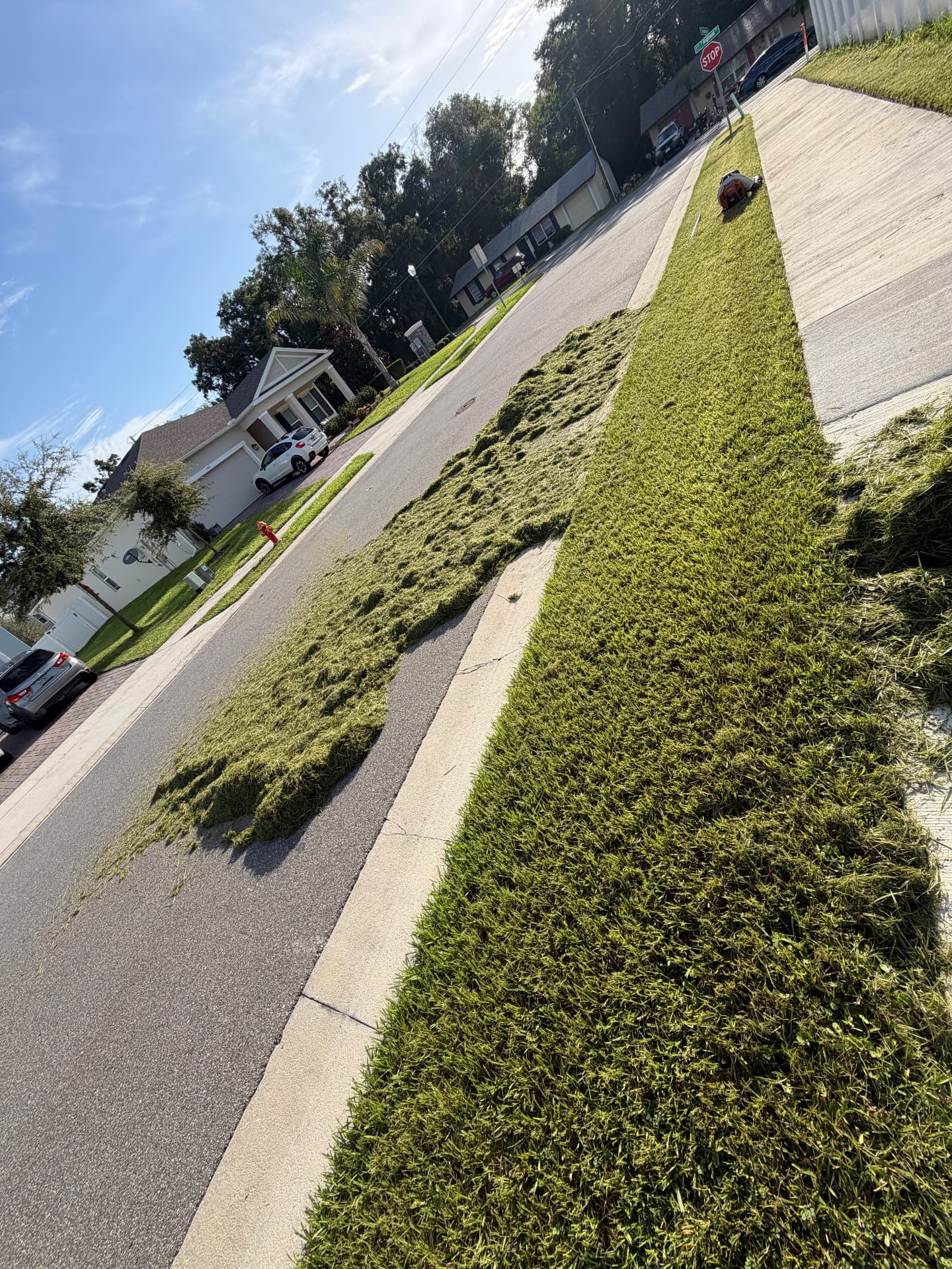 Long, straight mow stripe along a Florida sidewalk with a backpack blower ready for cleanup